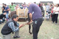 04-05-2014-pedesa-festivali-ikinci-gun-karadenizliler-gunu-75