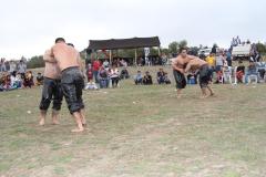 04-05-2014-pedesa-festivali-ikinci-gun-karadenizliler-gunu-78